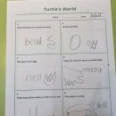 제이스영어바다교습소 | 상현동 초등영어 네셔널지오그래픽 키즈 논픽션 챕터북 Turtle