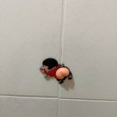 황토다원