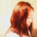 엔오씨 Daum카페