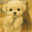 광주강아지분양 애견만세 이미지