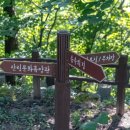 국립 대관령자연휴양림 티스토리