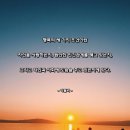 1146 | 사랑 명상 1146