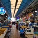 남성동017 | 4월 15/16일 유채꽃 축제