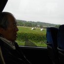 들녘목장 이미지