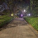 평촌공원 이미지