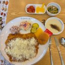 금화아파트 | [익산 맛집]모현동 금화왕돈까스 점심시간 혼밥 후기