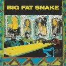 Big Fat Snake - I Want You 이미지