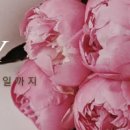 청담에끌라드의원 이미지