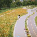 오산천 이미지