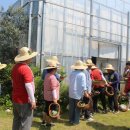 진주시 정신건강복지센터 이미지