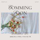 세이브투어 | 청담 예물투어 | 트라비체, 쥬드주얼리 방문 후기(계약X, 견적O)