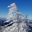 하늘민박 이미지