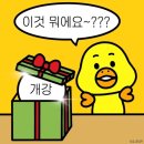 씨프로젝트 이미지