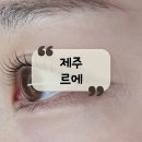 한라돈가 | [웨딩 관리] 제주 속눈썹 펌 또간집! 블랙틴팅펌 "르에" 후기