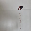 고마워강아지 이미지