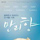 만리향 이미지