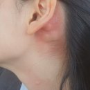 경포비스타호텔 | 1일차_친구와 함께한 강릉 1박 2일: 고속버스로 떠난 바다, 홍게, 그리고 카페 탐방!