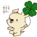 여주-1110 이미지