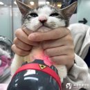 고강동물병원 이미지