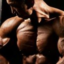 피트온24 이미지