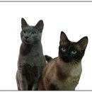 미사건강약국 이미지