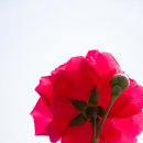 장일셀프타운 이미지