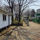 황새울교 앞 네이버블로그
