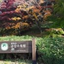 금강의전 네이버블로그
