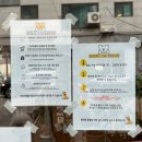 피츠펫 | 청라 애견동반카페 브런치맛집 <피츠로스>