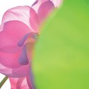 연사진관 - 구미시 옥계신당로5길 5-29 | 연사진관