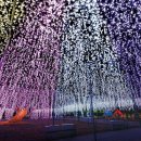 현플라워 이미지