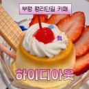 하이디 | 부평 평리단길 카페 하이디아웃 내돈내산 솔직후기