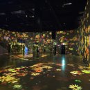 여수엔 | 여수 엑스포 아이랑 실내체험 아이뮤지엄 주말 솔직후기