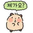 씨티네일 홍대