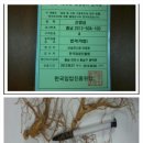 소백산심마니약초