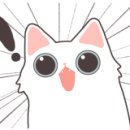 미장원태이