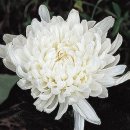 첨단중앙로170번길1 이미지