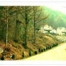 영동 가족형 펜션 이미지