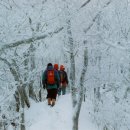 2006년 1월15일 정기산행 및 시산제 [민주지산] 산행안내 이미지