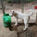 자룡농장 이미지