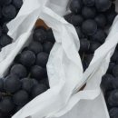 영흥농장 이미지