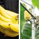 수열농장 이미지