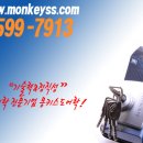 몽키스 이미지