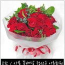 고한사북꽃집