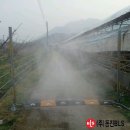 호탄농장 이미지