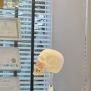 토마토치과의원 이미지