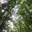 12 | 보홀 여행 시기 건기 시즌 12월 날씨 후기