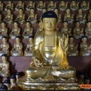 완도 신흥사 목조약사여래좌상 | 완도신흥사목조약사여래좌상 – 전남 완도[14. 了]