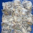 열쭈꾸미 이미지