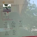 하이오커피안덕점